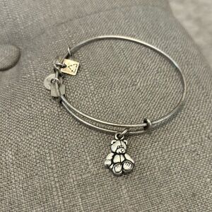 Alex and Ani silver bracelet collector